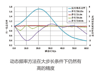 动态频率方法大步长高精度